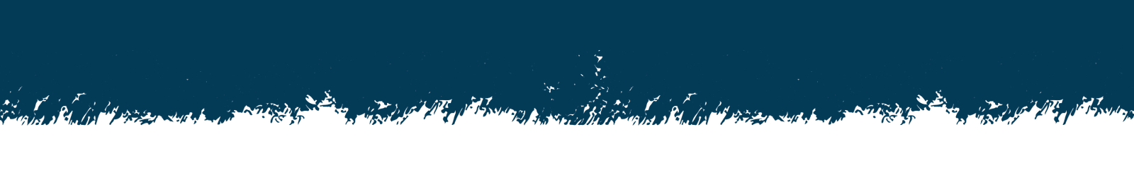 brush